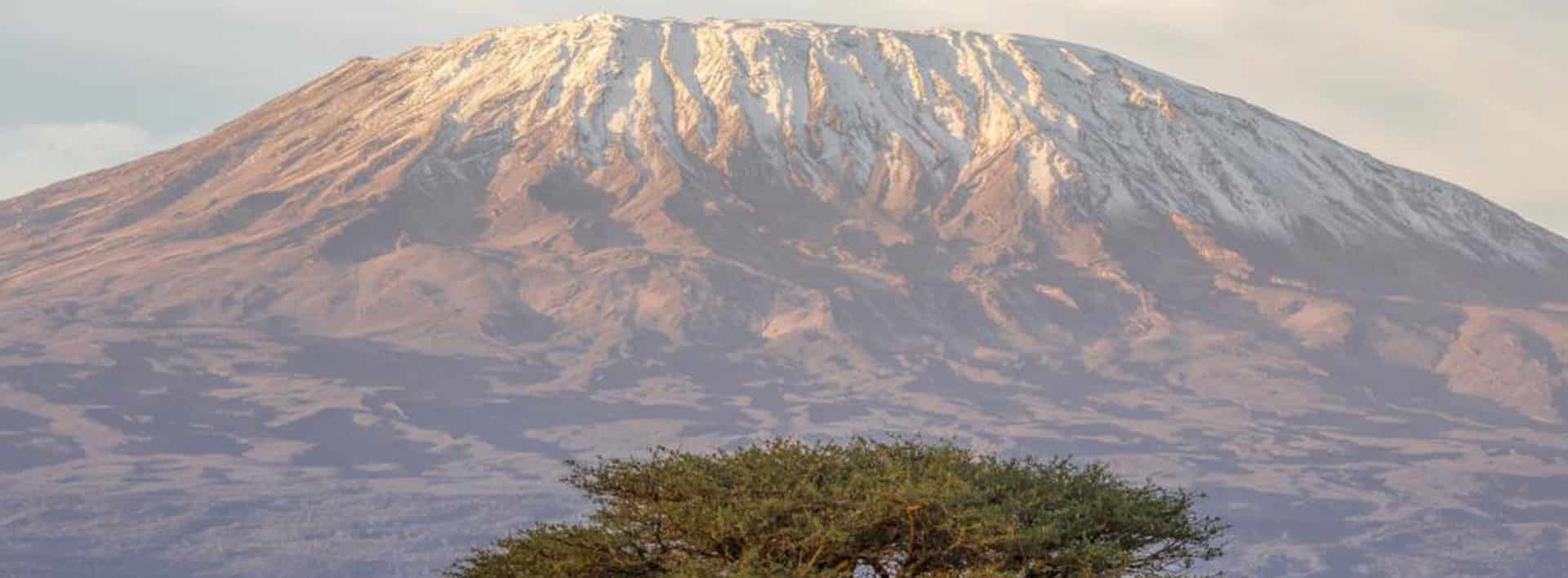 Kilimanjaro Trek: Marangu Route