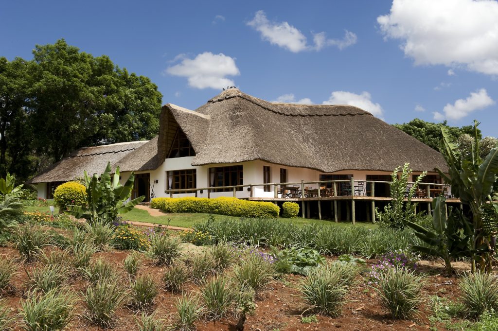 African Lion Safari holidays Tanzania