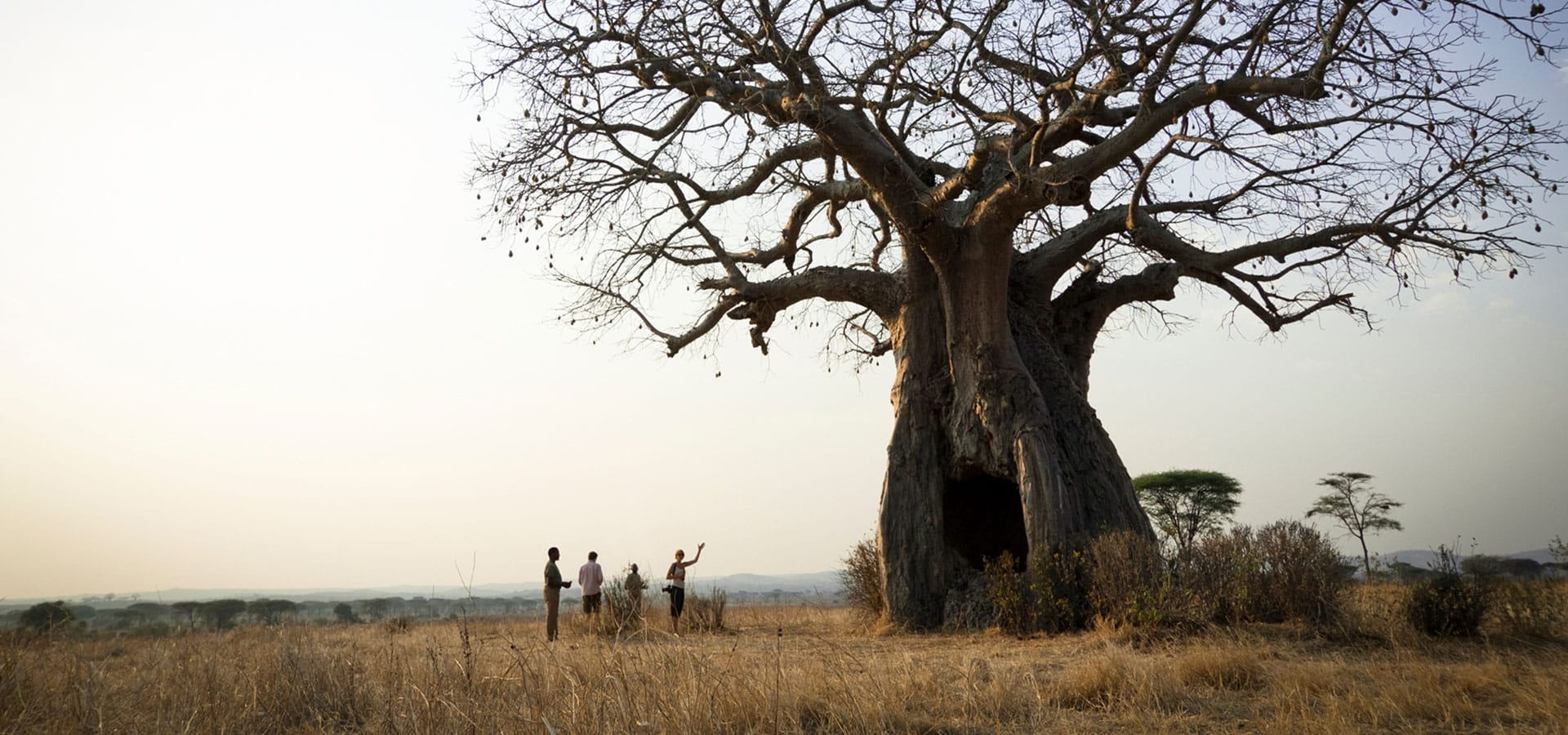Tanzania’s Southern Safari Circuit