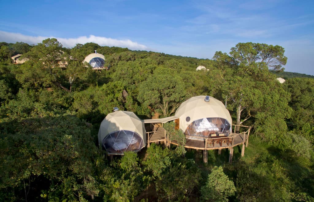 African Lion Safari holidays Tanzania
