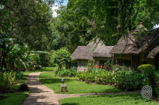 Ultimate Fly-Around Safari Holiday Arusha Serena Lodge Arusha Best of Tanzania Safari Adventure