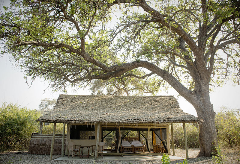 Kigelia Ruaha Tanzania’s Southern Safari Circuit