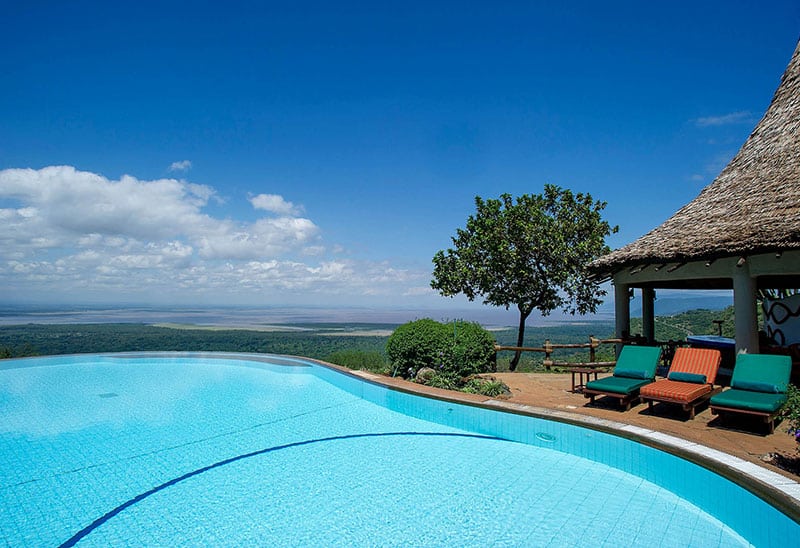 Lake Manyara Serena Wildebeest & Zebra Calving Season in Tanzania