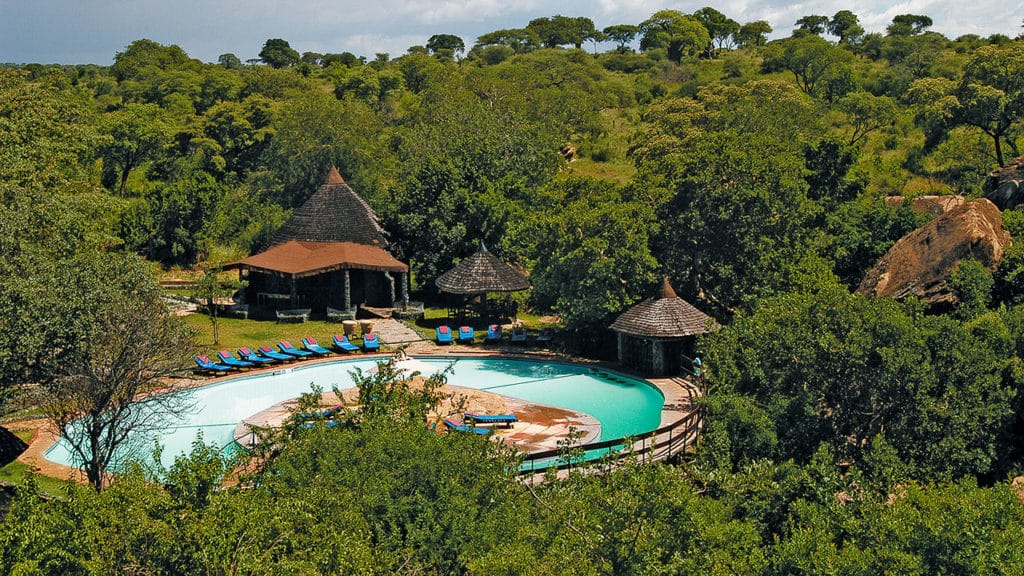Annual Great Migration River Crossing Tarangire sopa Lodge Tarangire sopa Lodge Tarangire National Park