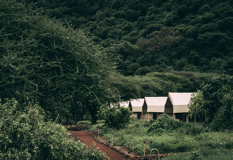 Ultimate Fly-Around Safari Holiday Lake Manyara Tortilis camp The Lake Manyara