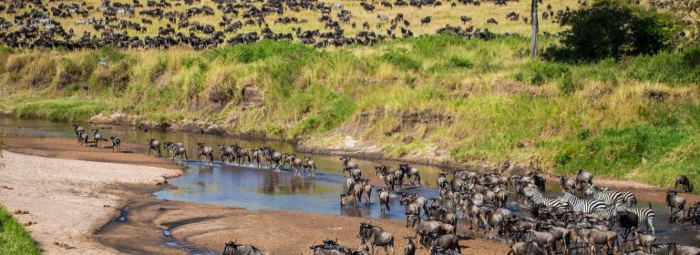 8 Days Great Migration River Crossing​ | Sassabi Expeditions Regular