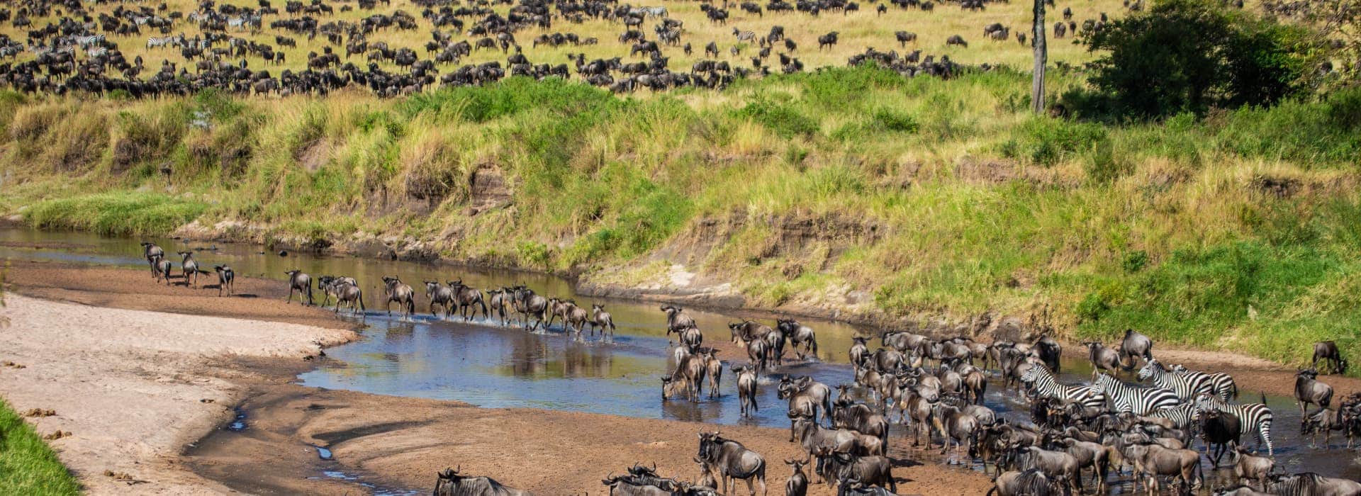 8 Days Great Migration River Crossing