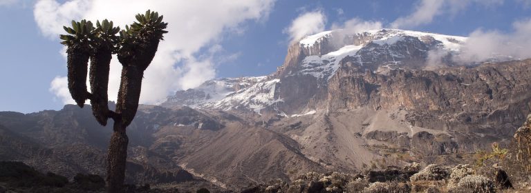 8 Days Kilimanjaro Trek: Lemosho Route | Sassabi Expeditions