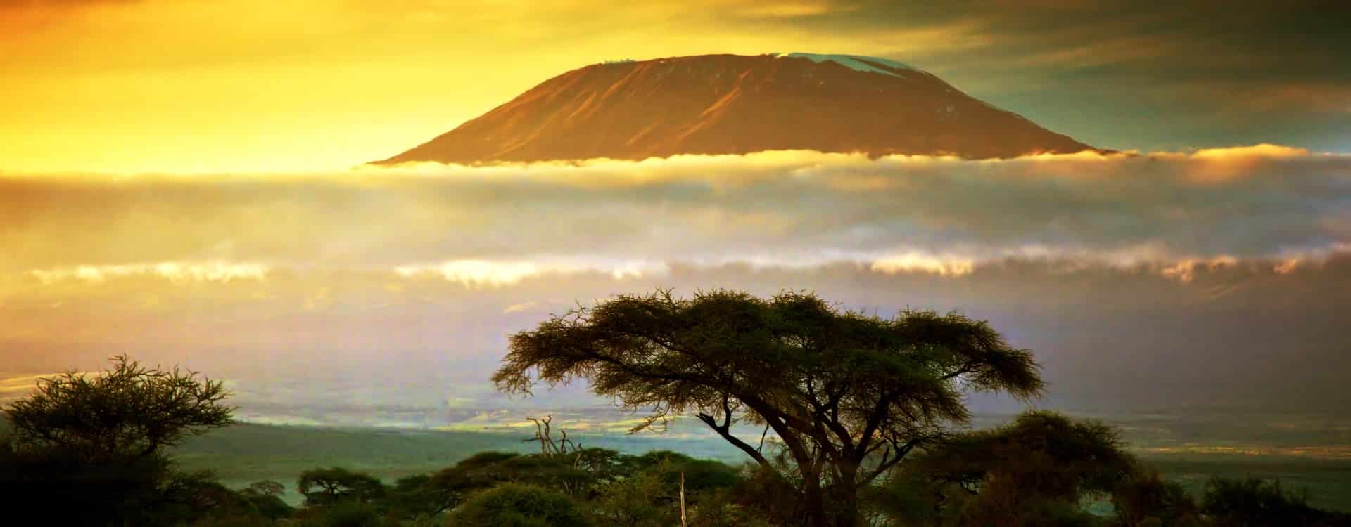 Mt Kilimanjaro | Sassabi Expeditions