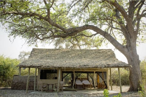 Nomad Kigelia Ruaha | Sassabi Expeditions