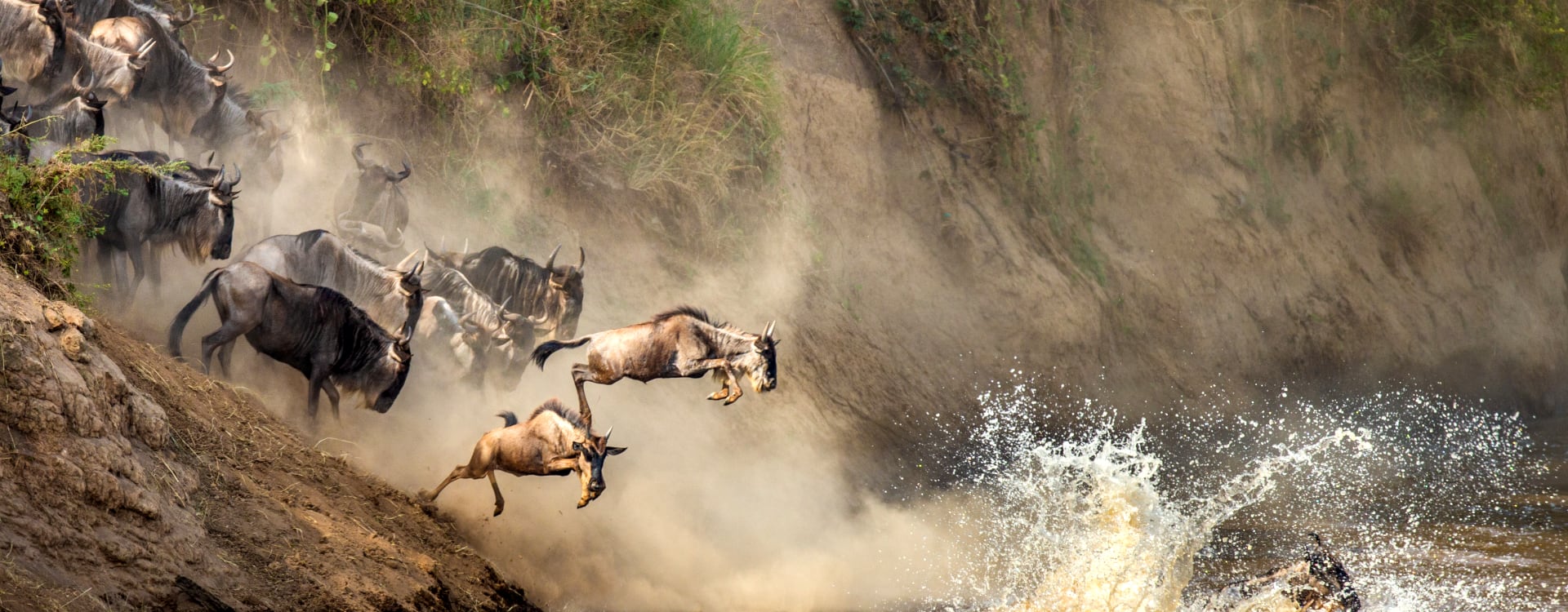 River Crossing | Sassabi Expeditions