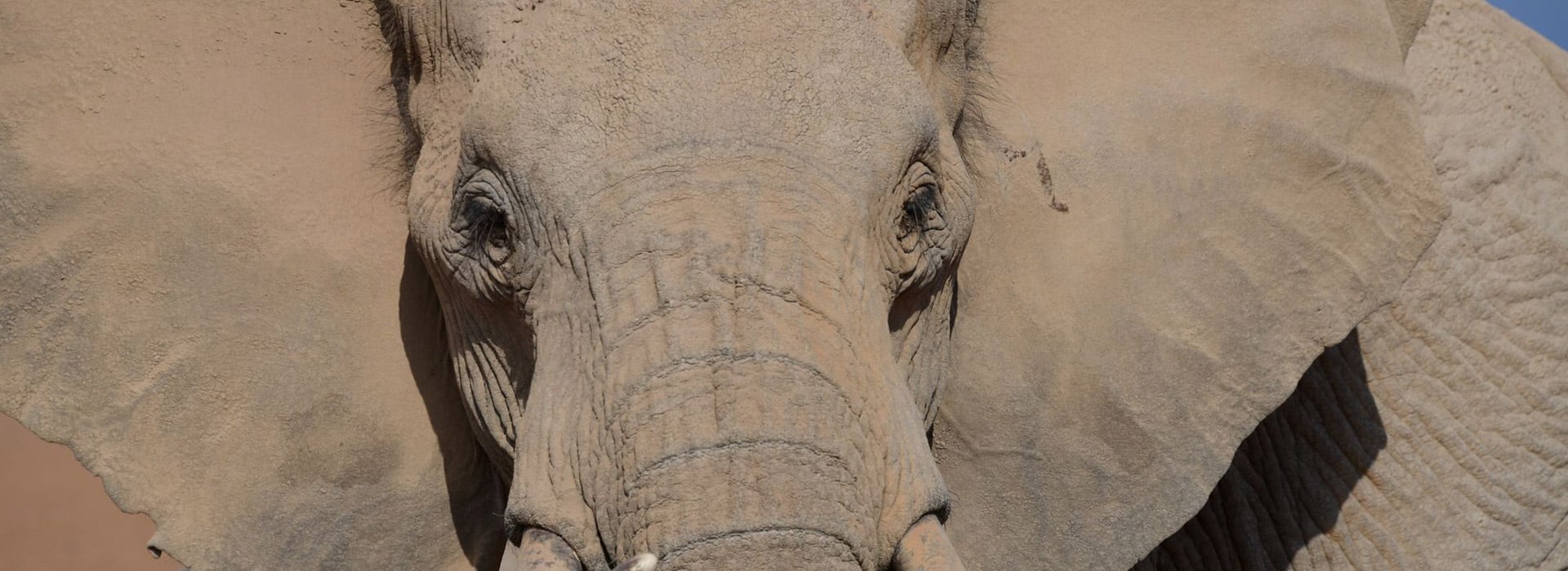 12 Day Eco Friendly Safari