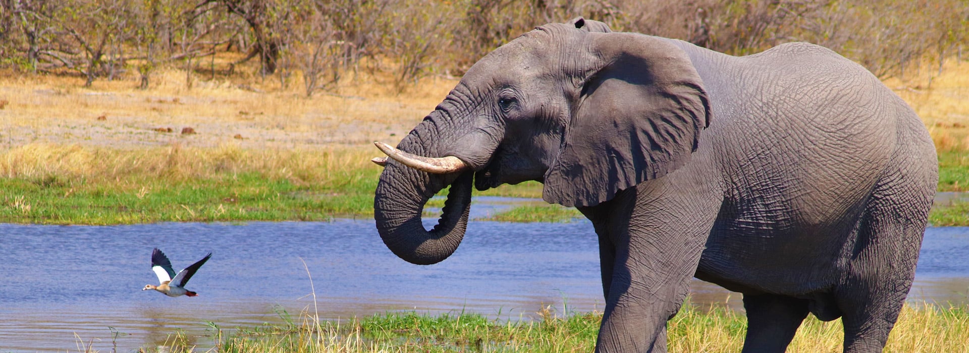 Botswana
