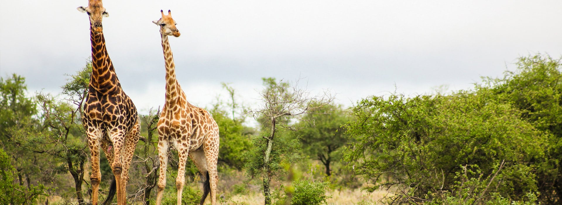 Nyerere National Park