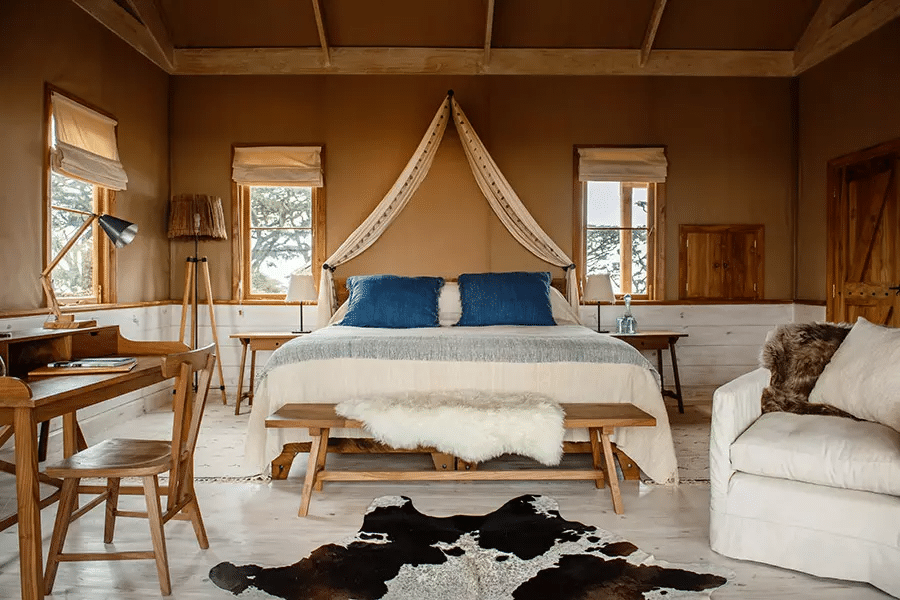 Living among lions Luxury safari holidays Tanzania tours Sassabi Expeditions
