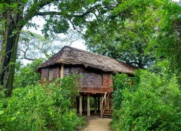 And Beyond Manyara Tree Lodge | Sassabi Expeditions