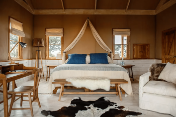 Living among lions Luxury safari holidays Tanzania tours Sassabi Expeditions