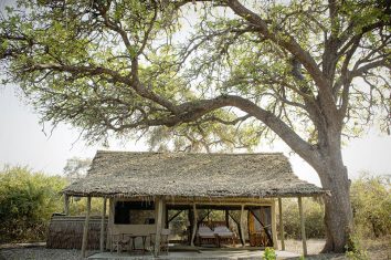 Kigelia Ruaha Tanzania’s Southern Safari Circuit