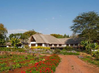 Ngorongoro Farm House | Sassabi Expeditions