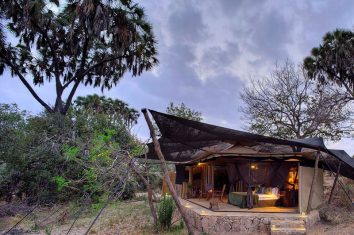 Tanzania’s Southern Safari Circuit