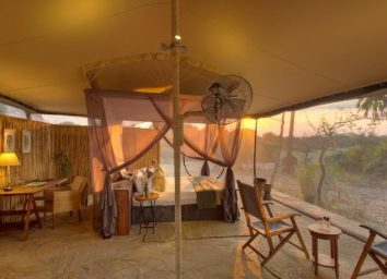 Roho ya Selous | Sassabi Expeditions